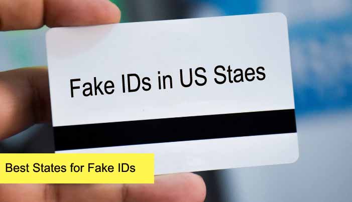 Best States for Fake IDs