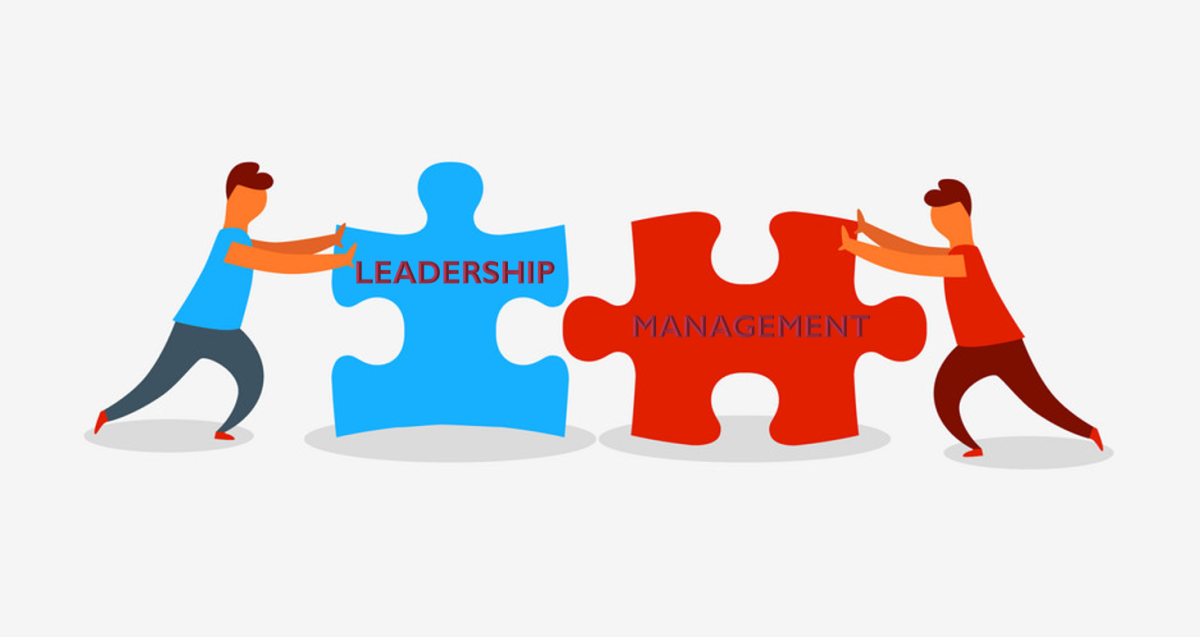 Leadership and Management: Key Skills, Techniques, and How to Build and Lead Effective Teams